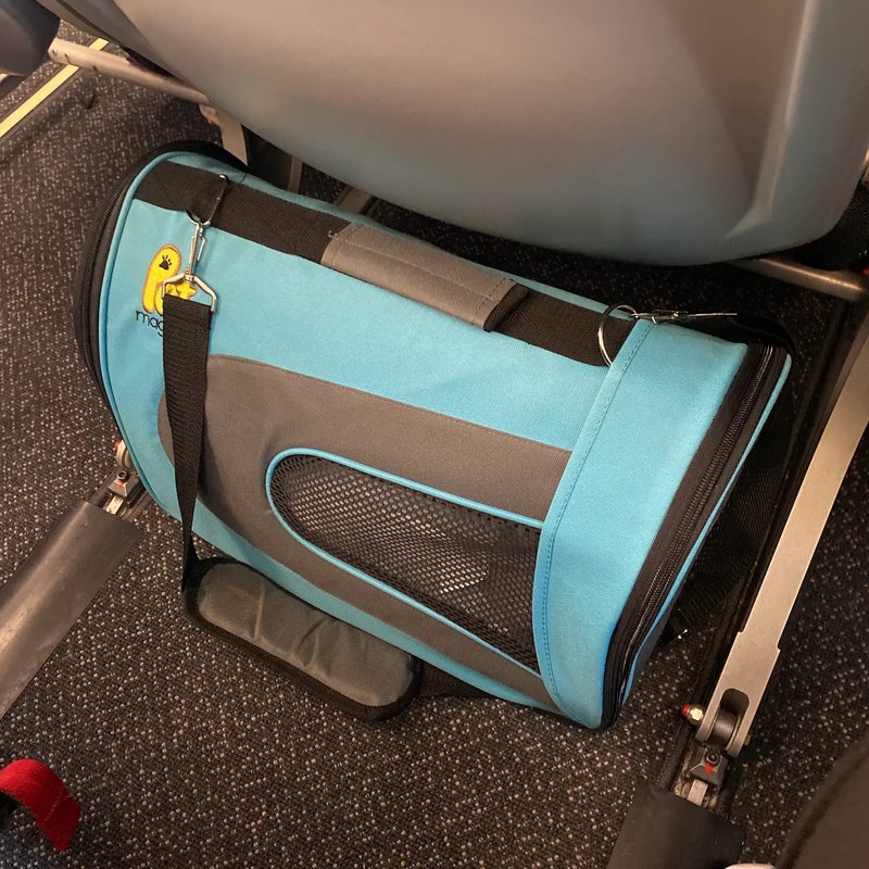 Luxury pet transport